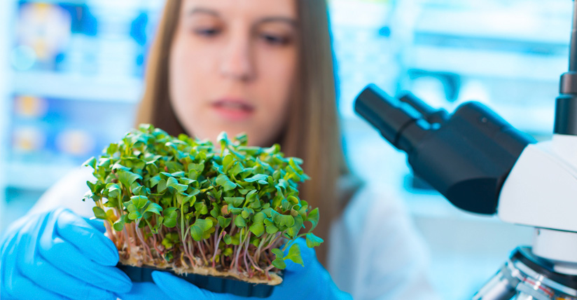 Scientifique examinant des plantules, Solutech Industries, ingénierie de conception.